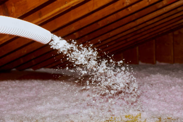 Best Commercial Insulation in North Miami, FL
